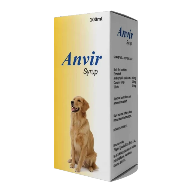 Anvir Syrup 100ml